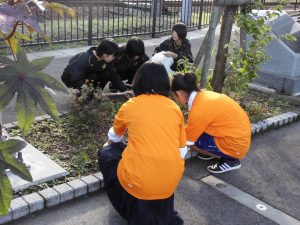 花壇草むしり